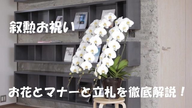 叙勲お祝い お花とマナーと立札を徹底解説 Hitohanaラボ