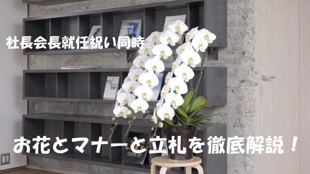 社長会長同時就任祝いの賢いお花の選び方と贈り方 Hitohanaラボ