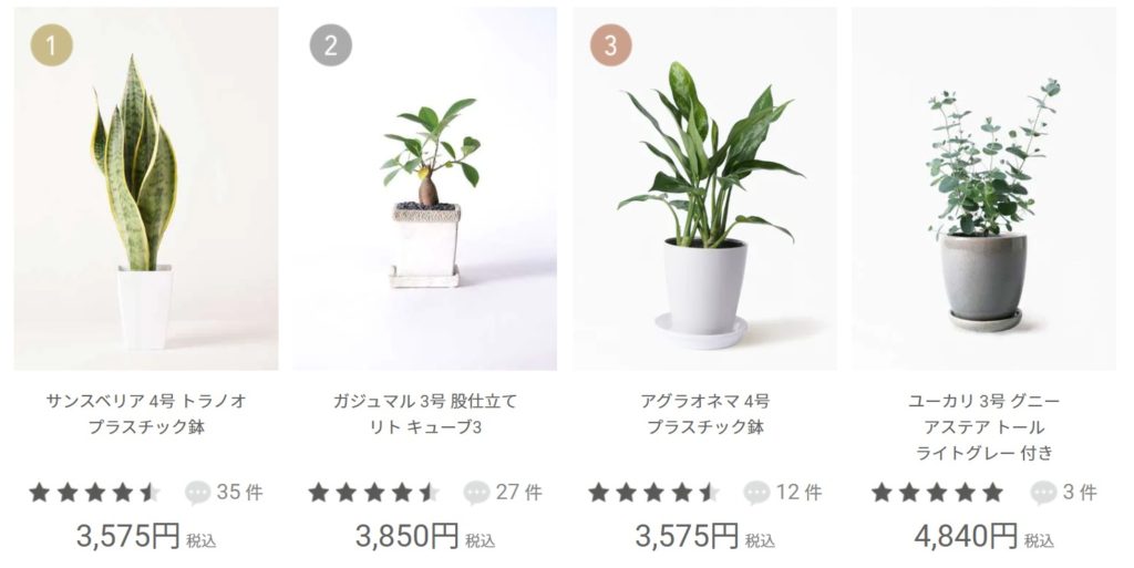 観葉植物を安く買う方法５選 こだわり通販ショップの激安店 Hitohanaラボ